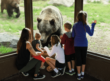 Calgary Zoo