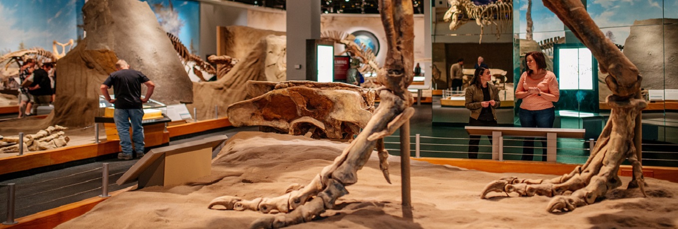 Royal Tyrrell Museum
